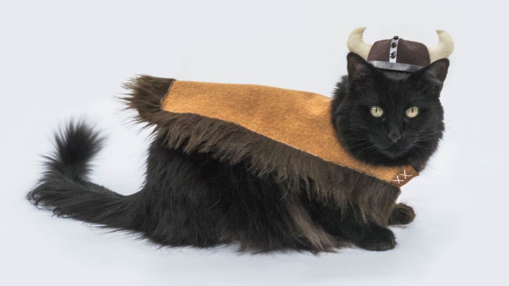 viking pillow pet